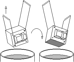transdip